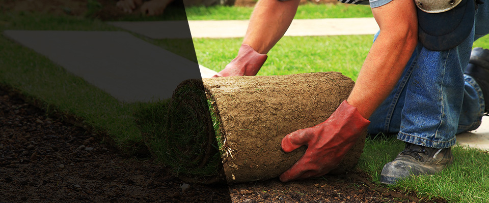 Mont Clare Landscapers